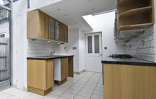 Ashprington kitchen extension leads